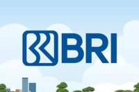 Cara Mengajukan KUR BRI untuk Usaha Kecil Anda!!!