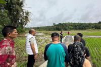 Ketua DPRD Sumbar Tinjau Jorong Sipingai: JUT Mampu Tingkatkan Produksi Pertanian