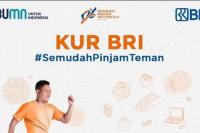 KUR BRI vs. Kredit Bank Lainnya: Perbandingan yang Perlu Anda Ketahui