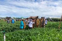 Sumbar Potensial Kembangkan Pertanian Organik