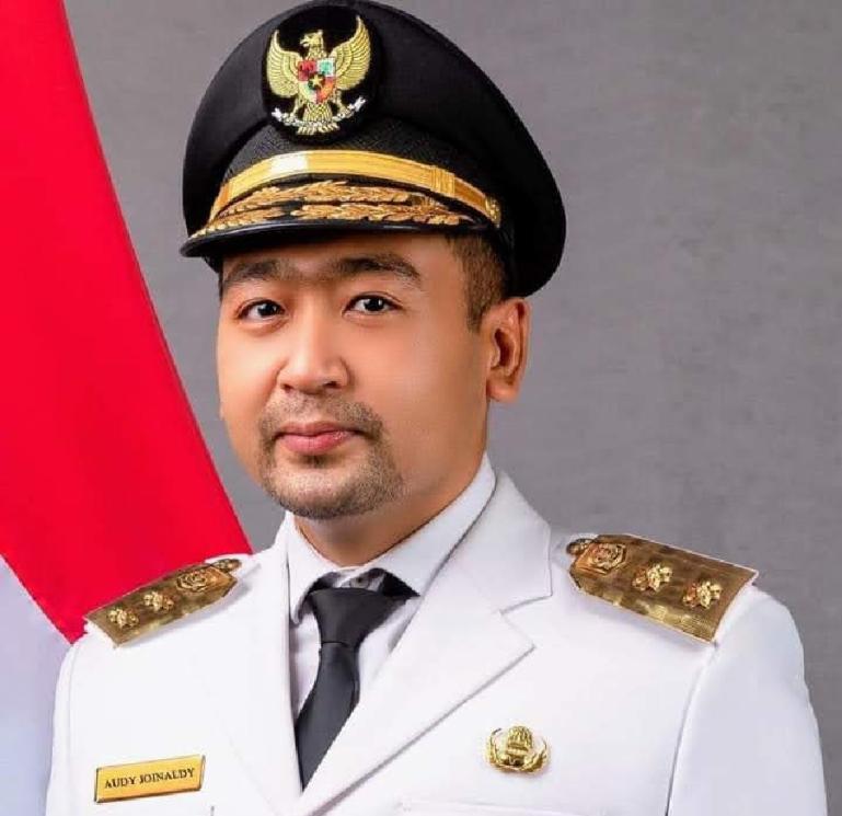 Wakil Gubernur Sumbar, Audy Joinaldy. (Dok : Istimewa)