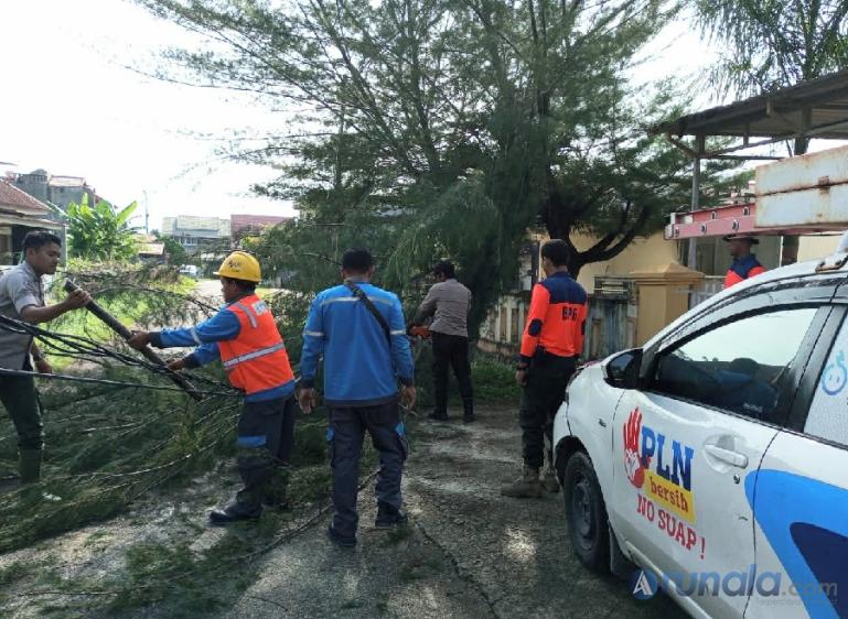 Terlihat petugas BPBD Kota Padang membersihkan pohon tumbang di salah satu ruas jalan, Rabu pagi (8/11). (Foto : Derizon)