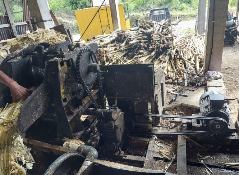 Pekerja menggiling tebu menggunakan motor electro dengan daya listrik 13.200 VA untuk menggerakkan dinamo yang terhubung ke mesin pencacah tebu. (Dok : Istimewa)