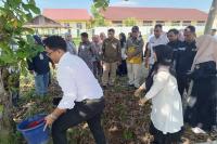 Komisioner KPU Sumbar Jons Manedi menyaksikan petugas KPPS se Kota Pariaman tanam bibit pohon setelah dilantik, Kamis (25/1). (Dok : Istimewa)