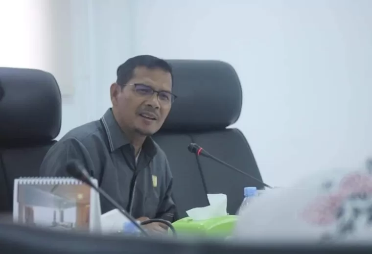 Wakil Ketua DPRD Kabupaten Dharmasraya Adi Gunawan. (Dok : Istimewa)