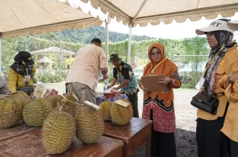 Prosesi penjurian saat Kontes Durian di Festival Durian Solok Selatan. Facebook/Pemerintah Daerah Kab Solok Selatan