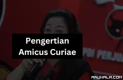 Amicus Curiae: Konsep yang Diajukan Megawati ke MK
