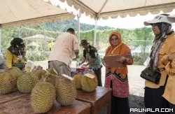 Cari Durian Termantap Solsel di Festival Durian
