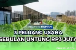 Eksekusi 3 Peluang Usaha Ini, Sebulan Untung Rp3 Juta