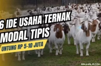 6 Ide Usaha Ternak 2024 bikin Kaya Raya, Untung Rp 5-10 Juta/Bulan
