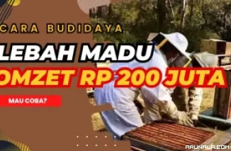 Berhasil Raup Omzet Rp 200 Juta Budidaya Lebah Madu, Pria Ini Bagikan Tips Bisnisnya