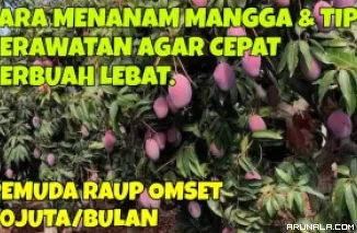 Tips Bisnis: Raup Omzet Puluhan Juta per Bulan, Padahal Cuma Jalankan Usaha Ini