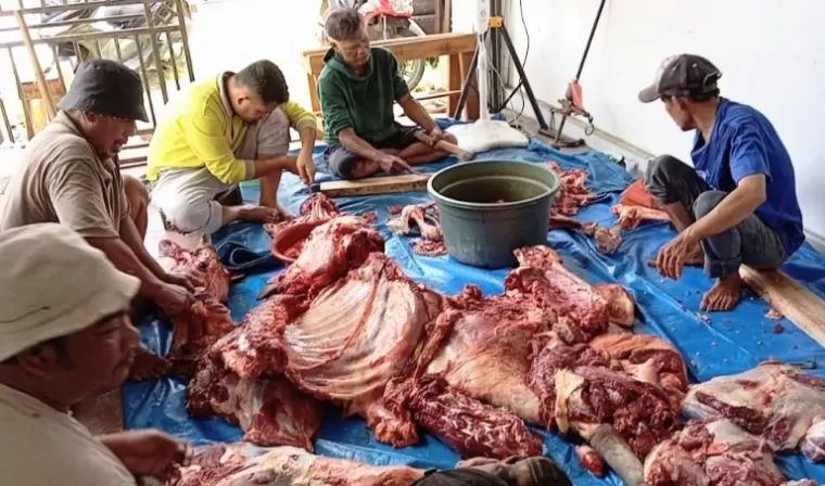 Pengurus dan tim kreatif yBAS sedang membagi daging sapi kurban, Selasa (18/6/2024). (dok : istimewa)