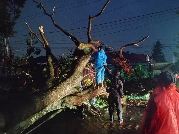Hujan disertai petir pada Jumat (14/6/2024) sore mengakibatkan pohon tumbang. Diskominfo Kota Padang