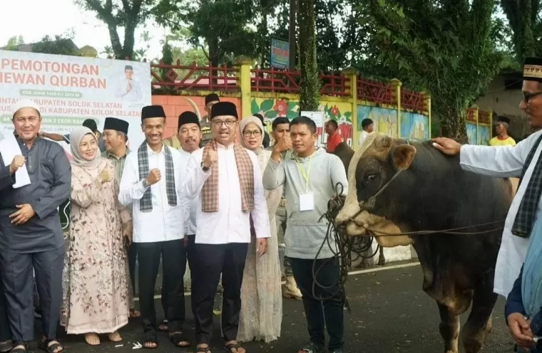 Bupati H Khairunas, Wabup H Yulian Efi beserta jajarannya dan Forkopimda meninjau langsung sapi kurban. IST