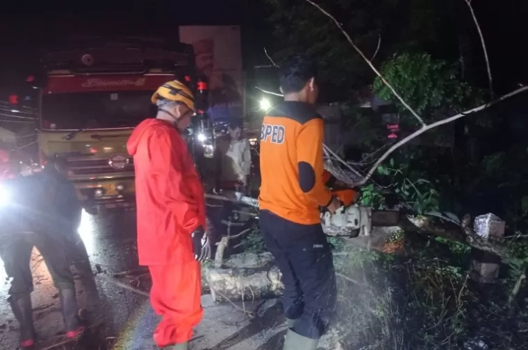 Petugas BPBD Kota Padang, membersihkan pohon tumbang yang ada di Jalan Jembatan baru Kuranji, Kelurahan Kuranji Kecamatan Kuranji, Kota Padang, Kamis malam (20/6/2024). (dok : arunala.com)