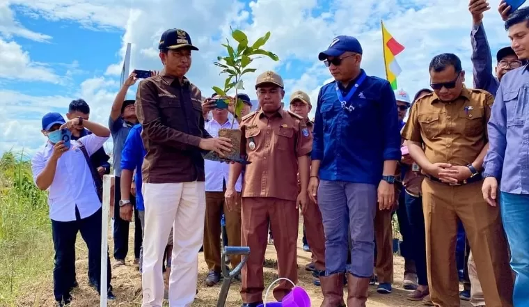 Wabup Pasaman Barat Risnawanto didampingi General Manager PT BPP Agri Adita Putra saat penanaman pohon bersama di DAS Batang Sikabau, Selasa (11/6/2024). Dinas Kominfo Pasaman Barat