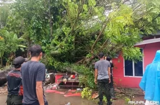 Dua Hari Cuaca Ekstrem, Banjir Longsor dan Pohon Tumbang Landa Padang