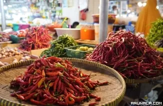 Harga Cabai Merah, Hijau dan Rawit di Padangpanjang Turun Signifikan