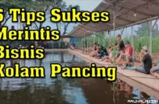 Merintis Usaha Kolam Pancing: Ikuti 6 Strategi Pemula Ini, Dijamin Bisnismu Laris Manis!