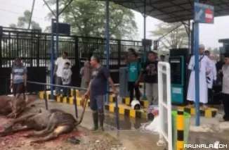 RSUP Djamil Kurban Enam Ekor Sapi dan Dua Ekor Kambing