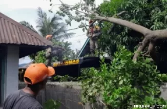 Tiga Titik Pohon Tumbang Di Padang, Satu Unit Warung Alami Kerusakan