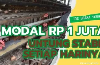 Uang Rp 1 Juta bisa Apa? Cobain Eksekusi 4 Ide Usaha Ternak Ini!