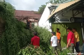 BPBD Padang Bersihkan Material Pohon Tumbang yang Hambat Akses Jalan