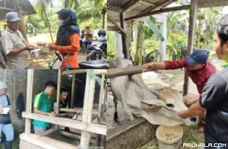 Dinas PPP Kota Pariaman Lakukan Pemeriksaan Kesehatan Hewan Kurban se-Kota Pariaman