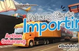 Peluang Usaha Importir Cuan Puluhan Juta! Jadi Begini Cara Memulainya