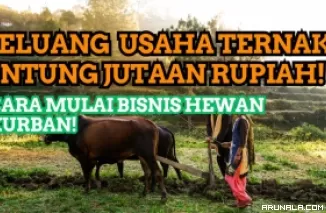 Peluang Usaha Jualan Hewan Kurban: dapat Untung Jutaan Rupiah Sekali Jual!