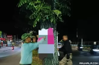 Pol PP Padang Copot Ratusan Iklan dan Poster Terpasang di Pohon Pelindung