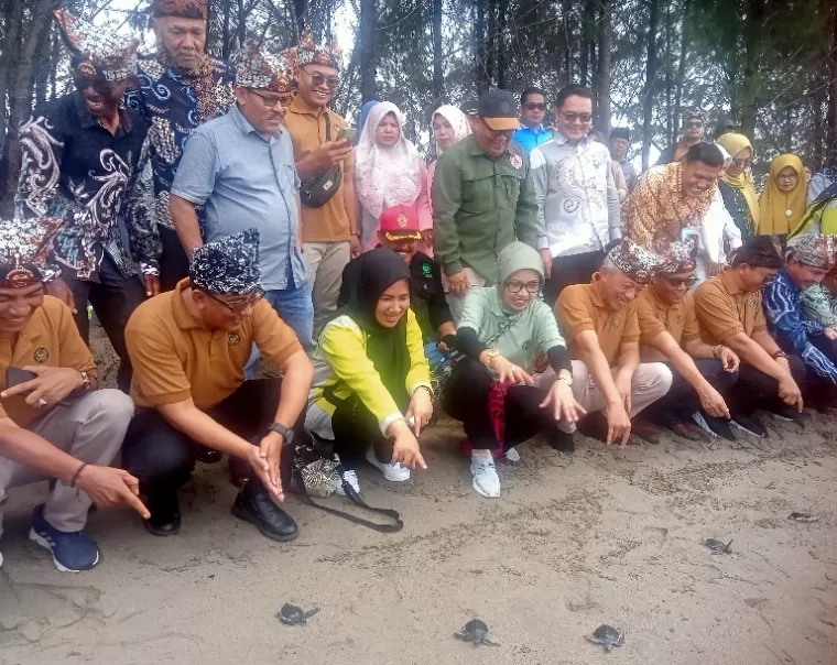 Direktur Infrastuktur Ekonomi Kreatif Kemenparekraf, Oneng Setya Harini bersama Sekkab Pessel, Mawardi Roska dan lainnya saat melepas tukik di pantai Desa Wisata Ampiang Parak, Sabtu (24/8/2024). (dok : arunala.com)