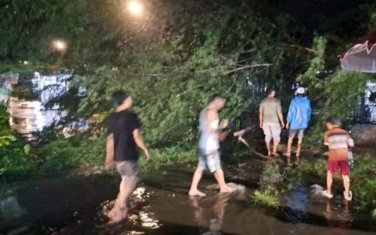 Akses jalan di salah satu lokasi di Kota Padang terhambat karena ada pohon tumbang akibat hujan lebat disertai angin kencang, Kamis malam (22/8/2024). (dok : bpbd kota padang)
