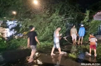 Sejumlah Pohon Tumbang di Padang, BPBD Imbau Waspada Cuaca Ekstrim