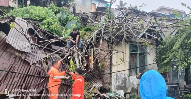 Petugas dari tim TRC BPBD Kota Padang membersihkan sisa-sisa dahan dan rating pohon yang menimpa rumah warga, Senin pagi (9/9/2024). (dok : istimewa)