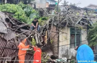 Pohon Tumbang Timpa Rumah Warga, Satu Orang Alami Luka Ringan