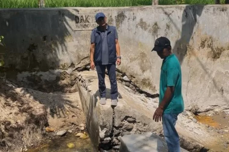 Anggota DPRD Sumbar, Ridwan Dt Tumbijo saat melihat langsung kondisi Sungai Batang Anak Aia Sipingai saat reses, Rabu (30/10/2024) kemarin. (dok : istimewa)