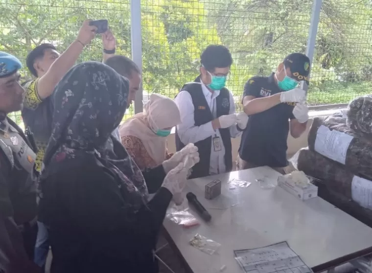 Tim dari Polda Sumbar disaksikan tokoh masyarakat lakukan pemusnahan barang bukti ganja di Krematorium HBT Padang, Jumat (13/12/2024). (dok : arunala.com)