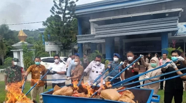 Proses pemusnahan barang bukti ganja kering di halaman Kantor BNNP Sumbar, Selasa (21/1/2025). (dok : arunala.com)