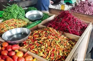Dinas Perindagkop Kota Pariaman Pantau Harga Pangan Jelang Ramadan