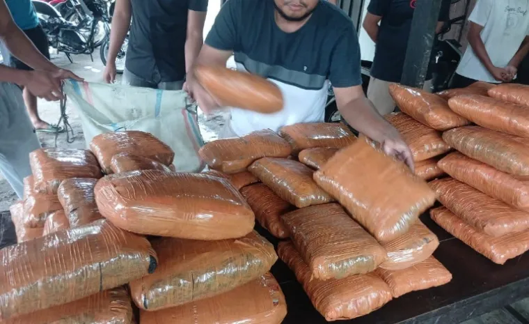 Barang bukti narkoba jenis ganja yang berhasil disita   Ditresnarkoba Polda Sumbar dari pelaku 