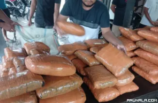 Bawa Ganja 82 Kg dan Sabu, Kurir Asal Tapsel  Ditangkap di Pasbar