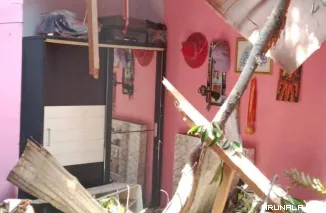 Dua Rumah Karyawan BUMN Ditimpa Pohon Tumbang, Satu Orang Luka