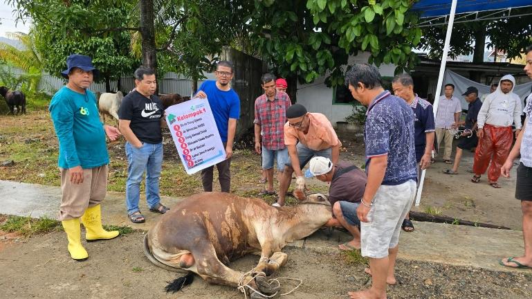 Prosesi penyembelihan hewan kurban. IST