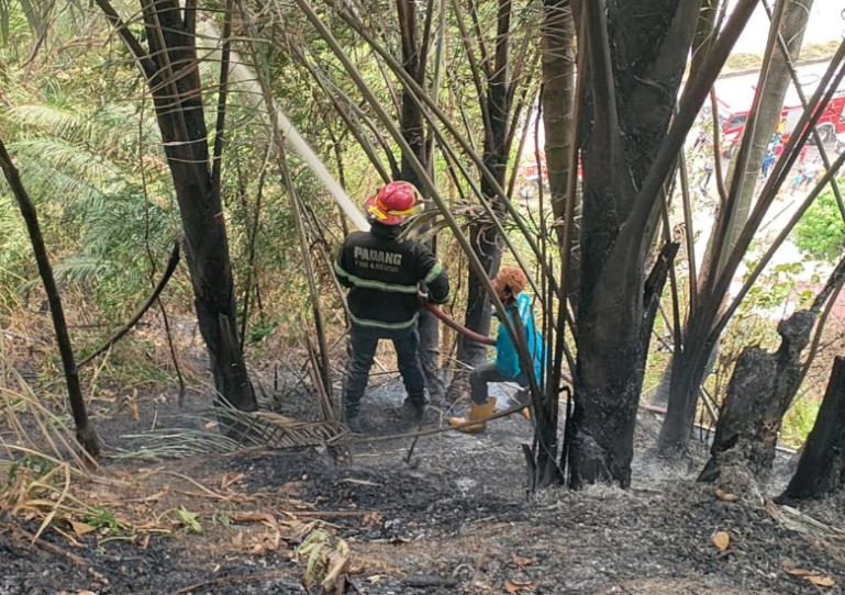 Petugas Damkar Padang memadamkan api yang membakar lahan hutan lindung di Bukik Putuih, Pampangan Nan XX, Lubuak Bagaluang (Lubeg). Minggu (1/6/2025). IST