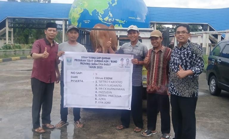 Seekor sapi qurban yang disumbangkan Dinas ESDM Sumbar untuk program Tebar Qurban 2025. IST