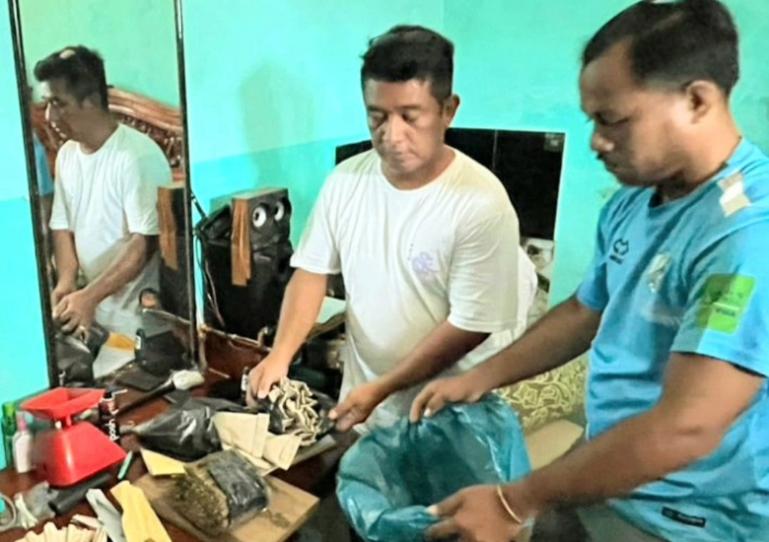 Petugas kepolisian Mentawai memeriksa barang bukti sitaan ganja kering dari  tangan oknum salah satu kepala dusun di Muara Siberut, Sabtu (31/5/2025). IST