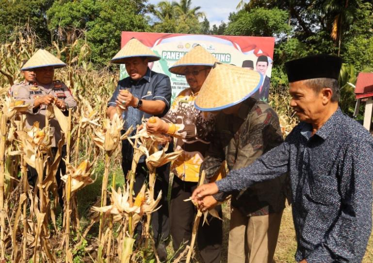 Wali Kota Yota Balad bersama Kapolres Pariaman, AKBP Andreanaldo Ademi lakukan panen raya jagung sebagai program ketahanan pangan yang dibuat Polres Pariaman, Kamis (5/6/2025). IST