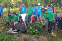 Momen Idul Adha 1446 H, Bank Nagari Sembelih 51 Ekor Hewan